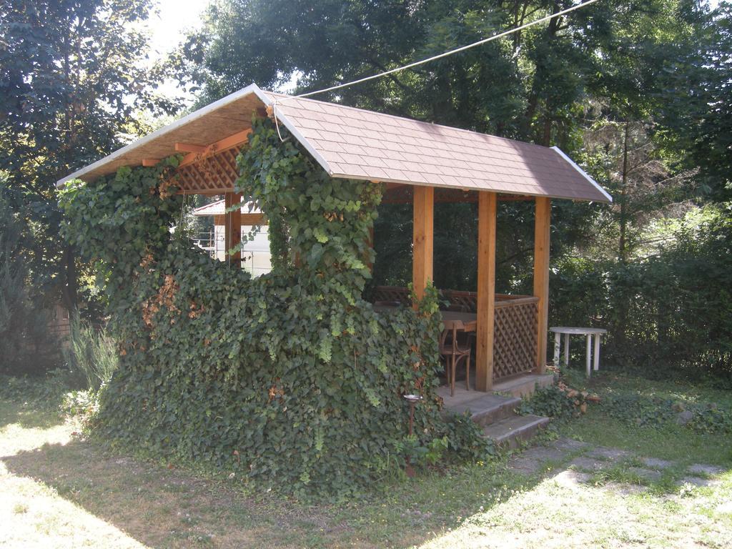 Diana Panzió Acomodação com café da manhã Matrafured Exterior foto